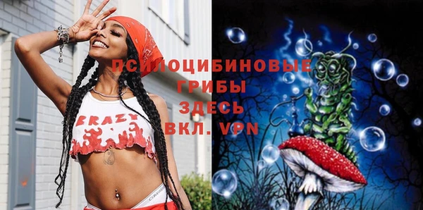 apvp Балахна