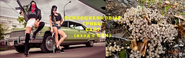 эйфоретик Баксан