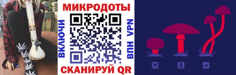 Псилоцибиновые грибы Psilocybine cubensis  Валуйки 